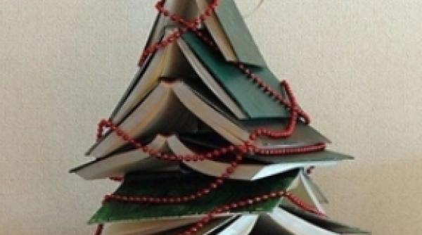 ion ovidiu pani oara agenda lui 2017 pentru o reforma in educa ie