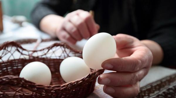 alerta europeana 300 000 de oua cu salmonella au ajuns in romania