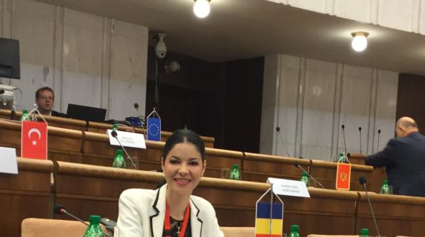 cine este ana birchall nominalizare ministru delegat departament afaceri europene
