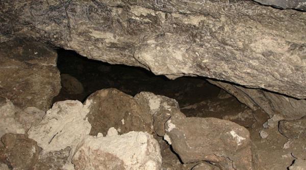 descoperire importanta facuta de arheologi chinezi i germani in mun ii yinshan