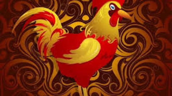 horoscopul chinezesc 2017 anul cocosului de foc ce zodii au noroc la bani