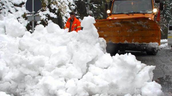 prefect buzau cod ro u de viscol