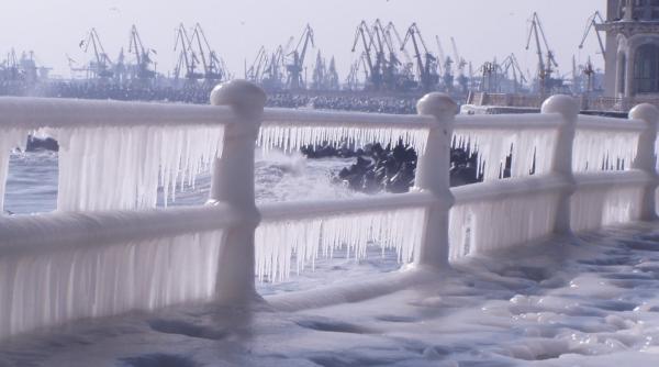 cod galben de ger naprasnic in toata ara