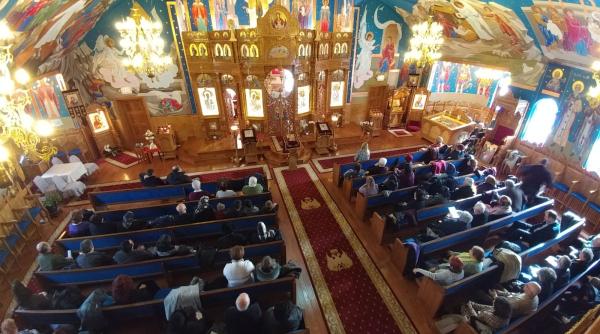 vot in unanimitate dupa protestul romanilor din diaspora scrisoare oficiala