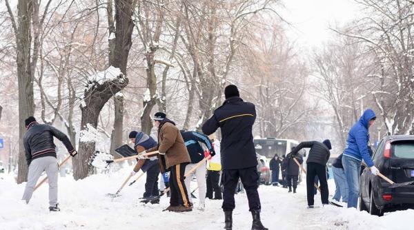 sportivii de la csm bucure ti sute de jandarmi i de inu i la deszapezirea trotuarelor i strazilor din bucure ti