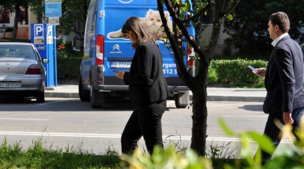 kovesi mcv ne a ajutat politicienii se apara intre ei