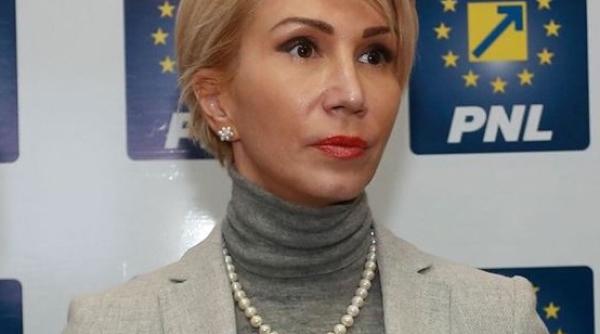 turcan cere sa se publice costurile deplasarii lui dragnea i grindeanu in sua