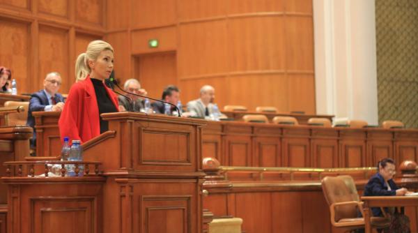 legea gra ierii pnl mo iune de cenzura