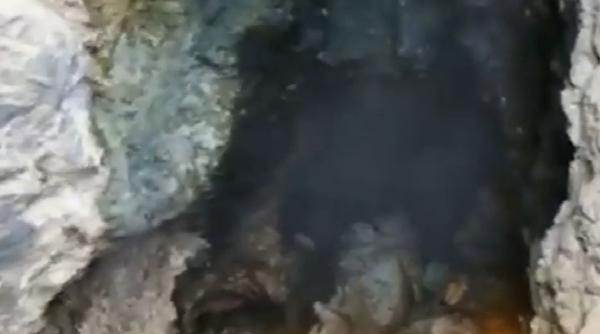 tragedie la baile herculane doua persoane gasite moarte intr o grota