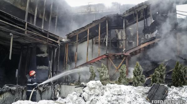 ministerul dezvoltarii regionale decizie cu privire la bamboo