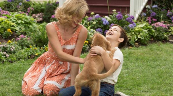 cainele adevaratul meu prieten o aventura plina de umor