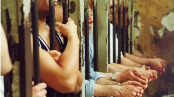 penitenciar tg mure de inu ii sco i in curte pe acoperi