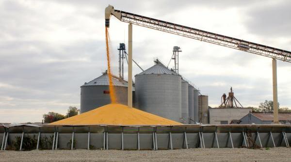 china stocuri uria e de porumb cum vrea sa scape de acestea