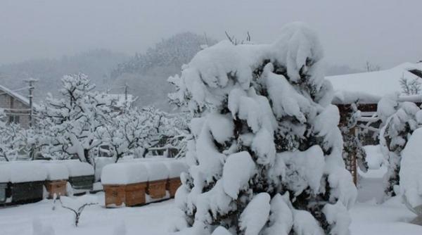 meteo anun ul meteorologilor pentru urmatoarele zile