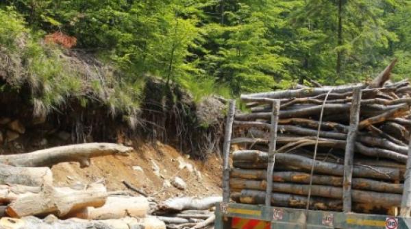 suceava barbat mort dupa ce utilajul cu care lucra a cazut peste el