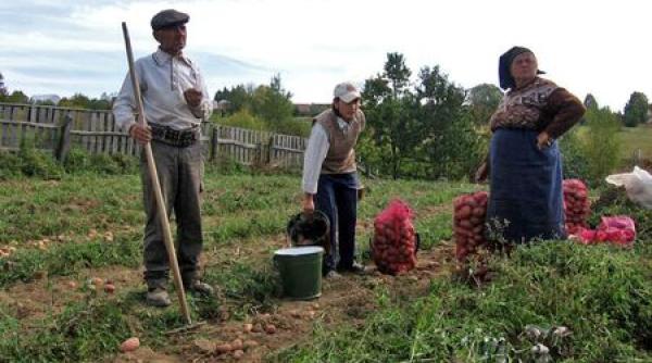 subven iile pentru agricultura reduse dupa brexit