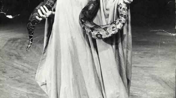 un stejar premiera na ionala la teatrul tineretului piatra neam