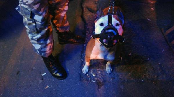 satu mare  circa 200 de protestatari intampinati la sediul psd de o singura sustinatoare a guvernului