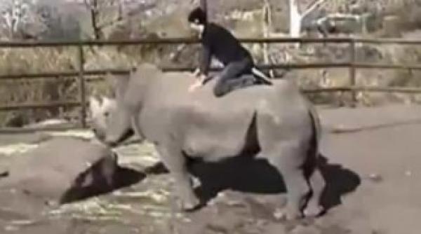 specie pe cale de dispari ie na tere rara in captivitate