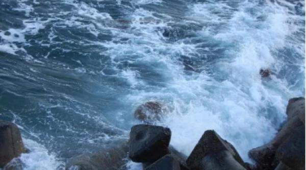 sute de cadavre de pasari acvatic descoperite pe litoralul romanesc