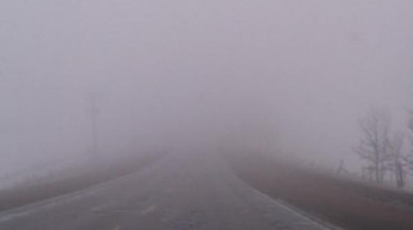 cod galben de cea a i polei zonele vizate