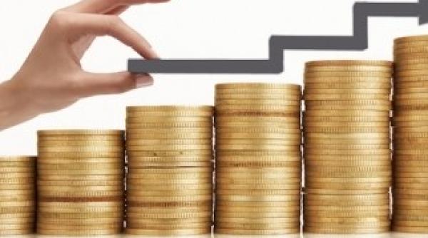 investi ie uria a in industria alimentara din romania