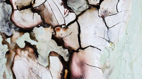 la galeriile carol sezonul 2017 incepe cu expozitia entropomorfe semnata mirela iordache