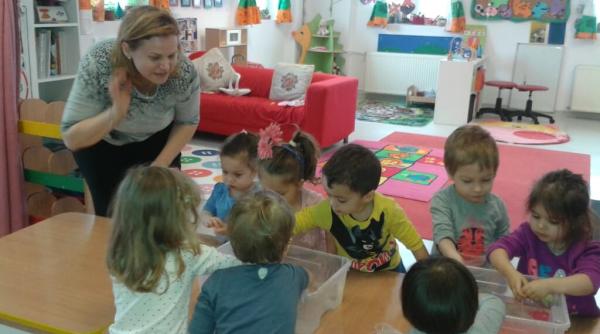 primaria sectorului 1 sistem de educa ie danez in cre e i gradini e