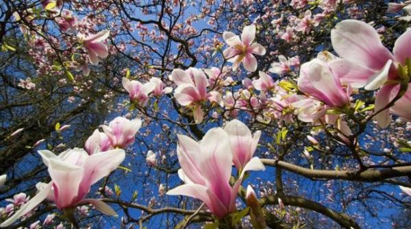 prognoza meteo cum va fi vremea de pa ti i de 1 mai