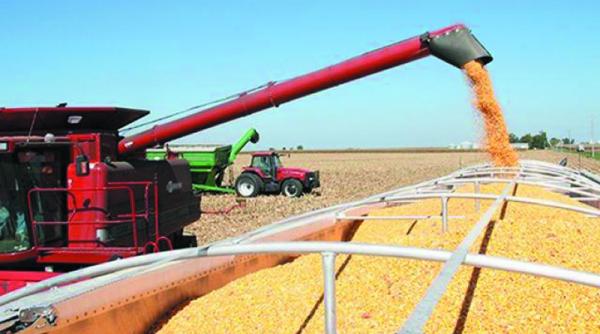 guvernarea tehnocrata a pus pe butuci comer ul cu produse agroalimentare