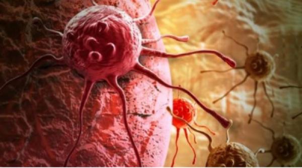 hibernarea o speran a pentru bolnavii de cancer