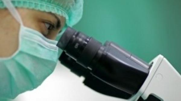 gripa aviara depistata la doua pasari in parcul tineretului