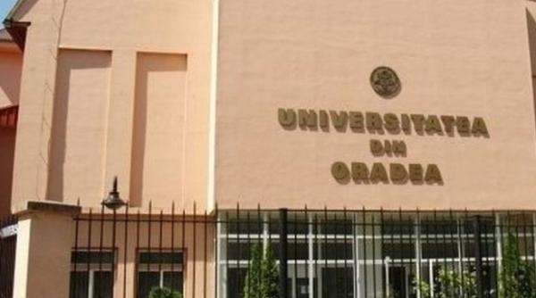 viorica banciu conferen iar universitatea oradea condamnata la 3 ani de inchisoare