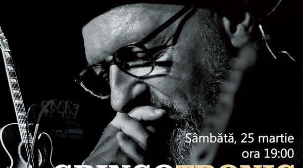 gringotronic de la blues i jazz la muzica electronica cu ag weinberger