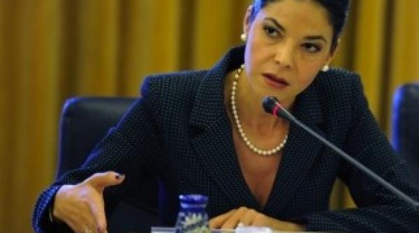 ana birchall reac ie dupa ce dna a oprit anchetarea guvernului grindeanu
