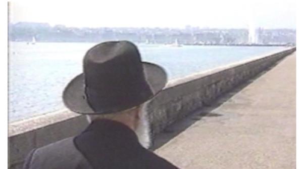 infruntand furtuna la cinemateca icr viena