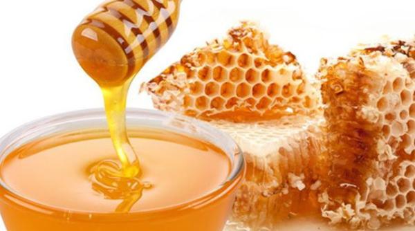 produc ia de miere in pericol care este motivul