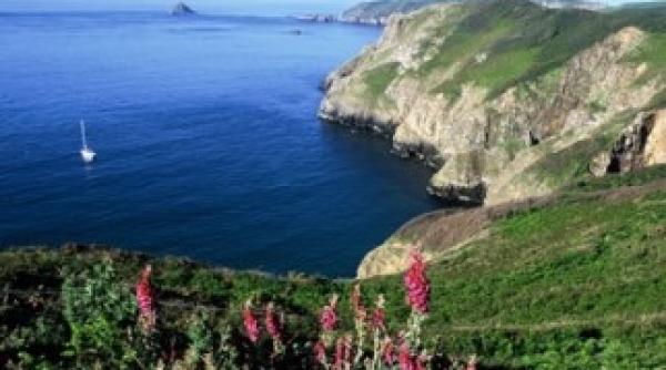 turism de interviu ce ara le plate te totul candida ilor la joburi