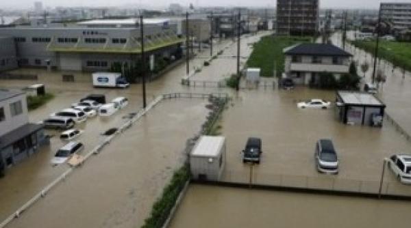 franta maturata de o furtuna de proportii