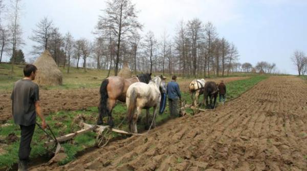 pwc romania are un potential semnificativ in sectorul agricol dar cu o productivitate foarte scazuta