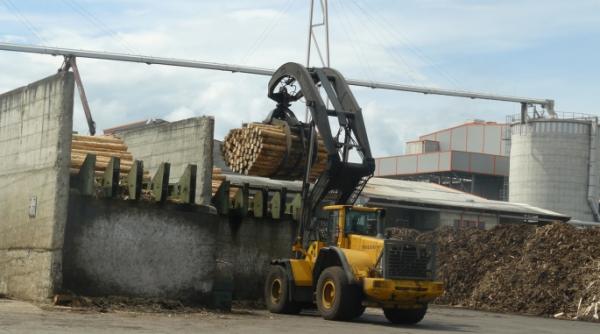 brico depot romania a inchis colaborarea cu holzindustrie schweighofer