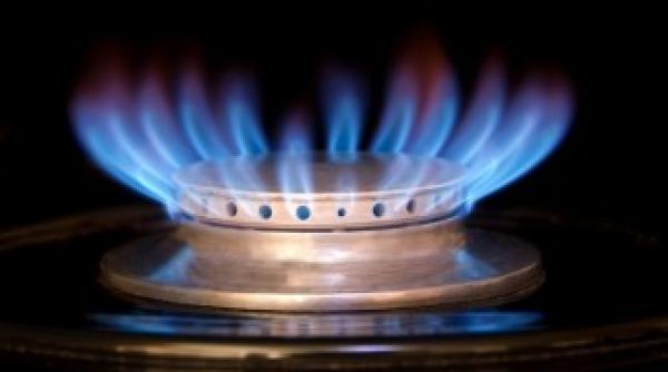 pnl cere anre sa nu accepte cre terea pre ului la gaze