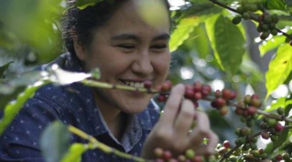 strauss coffee ne invita la o cea ca de cafea cu con tiin a