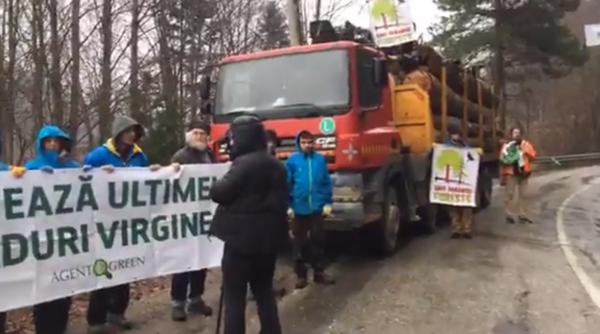 camioane cu lemne din mun ii fagara blocate catastrofa na ionala apel catre guvern