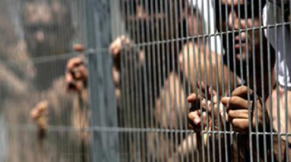 legea gra ierii toader nu e singura solu ie