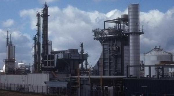 produc ia industriala a crescut in ianuarie