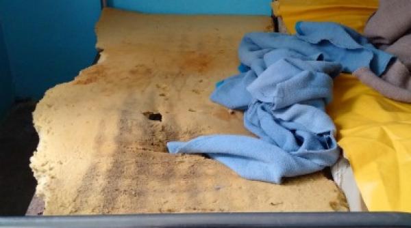 foto condi ii inumane la sectia de psihiatrie din gura vaii