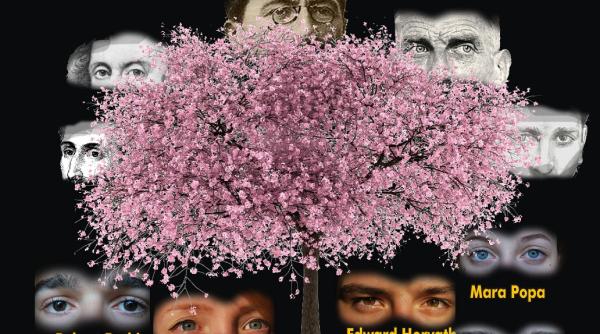 spectacolul un tre hors pair un om de milioane la off theater din viena