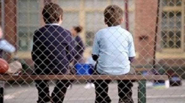 coli fara autoriza ie isu primarul legisla ia e aberanta