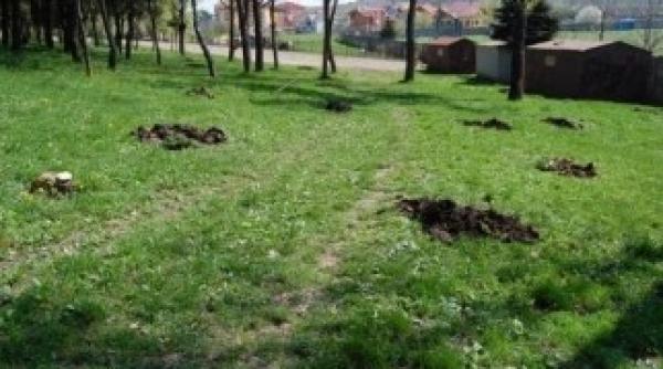 guvernul investi ie uria a